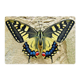 Магнитный плакат 3Х2 с принтом бабочка в Белгороде, Полимерный материал с магнитным слоем | 6 деталей размером 9*9 см | бабочка | мотылек | насекомые