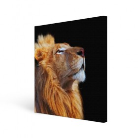 Холст квадратный с принтом Лев в Белгороде, 100% ПВХ |  | Тематика изображения на принте: lion | лев | хищник
