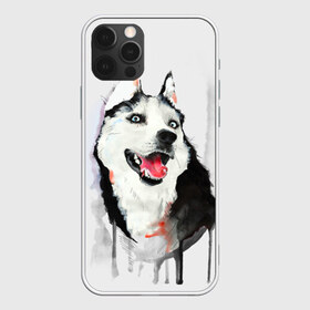 Чехол для iPhone 12 Pro Max с принтом Хаски в Белгороде, Силикон |  | Тематика изображения на принте: голова животного | кутёнок | прикольные картинки | собака | щенок