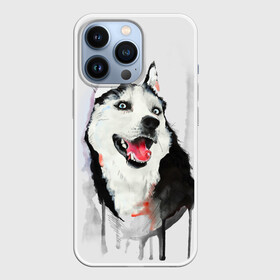 Чехол для iPhone 13 Pro с принтом Хаски в Белгороде,  |  | голова животного | кутёнок | прикольные картинки | собака | щенок