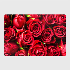 Магнитный плакат 3Х2 с принтом Розы в Белгороде, Полимерный материал с магнитным слоем | 6 деталей размером 9*9 см | Тематика изображения на принте: красный | лепестки | прикольные картинки | розы | цветочки | цветы