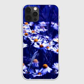 Чехол для iPhone 12 Pro с принтом Ромашки в Белгороде, силикон | область печати: задняя сторона чехла, без боковых панелей | лепестки | прикольные картинки | ромашки | цветочки | цветы