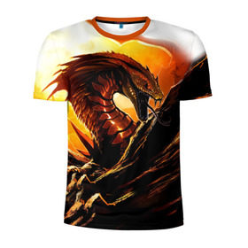 Мужская футболка 3D спортивная с принтом Дракон в Белгороде, 100% полиэстер с улучшенными характеристиками | приталенный силуэт, круглая горловина, широкие плечи, сужается к линии бедра | дракон | змей | монстр | огонь | пламя | прикольные картинки