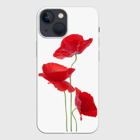 Чехол для iPhone 13 mini с принтом Маки в Белгороде,  |  | field | flowers | poppies | poppy | red | wild | красные | мак | маки | поле | полевые | цветы