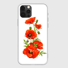 Чехол для iPhone 12 Pro Max с принтом Маки в Белгороде, Силикон |  | field | flowers | poppies | poppy | red | wild | красные | мак | маки | поле | полевые | цветы