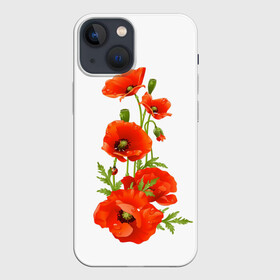 Чехол для iPhone 13 mini с принтом Маки в Белгороде,  |  | field | flowers | poppies | poppy | red | wild | красные | мак | маки | поле | полевые | цветы