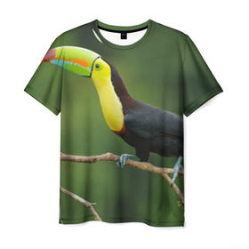 Мужская футболка 3D с принтом Тукан в Белгороде, 100% полиэфир | прямой крой, круглый вырез горловины, длина до линии бедер | Тематика изображения на принте: животные | тукан