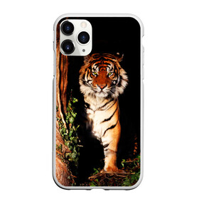 Чехол для iPhone 11 Pro матовый с принтом Тигр в Белгороде, Силикон |  | Тематика изображения на принте: дикая кошка | лес | природа | тигр | хищник