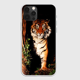 Чехол для iPhone 12 Pro Max с принтом Тигр в Белгороде, Силикон |  | Тематика изображения на принте: дикая кошка | лес | природа | тигр | хищник
