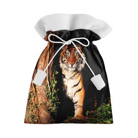 Подарочный 3D мешок с принтом Тигр в Белгороде, 100% полиэстер | Размер: 29*39 см | Тематика изображения на принте: дикая кошка | лес | природа | тигр | хищник