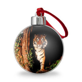 Ёлочный шар с принтом Тигр в Белгороде, Пластик | Диаметр: 77 мм | Тематика изображения на принте: дикая кошка | лес | природа | тигр | хищник