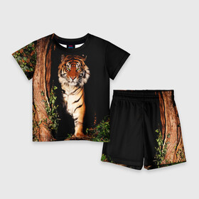 Детский костюм с шортами 3D с принтом Тигр в Белгороде,  |  | дикая кошка | лес | природа | тигр | хищник