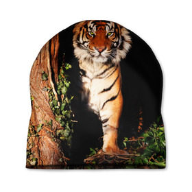Шапка 3D с принтом Тигр в Белгороде, 100% полиэстер | универсальный размер, печать по всей поверхности изделия | дикая кошка | лес | природа | тигр | хищник