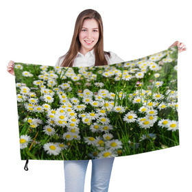 Флаг 3D с принтом Ромашки 2 в Белгороде, 100% полиэстер | плотность ткани — 95 г/м2, размер — 67 х 109 см. Принт наносится с одной стороны | лепестки | прикольные картинки | ромашки | цветочки | цветы