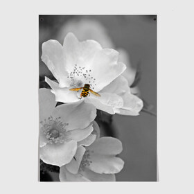 Постер с принтом Пчела на цветах в Белгороде, 100% бумага
 | бумага, плотность 150 мг. Матовая, но за счет высокого коэффициента гладкости имеет небольшой блеск и дает на свету блики, но в отличии от глянцевой бумаги не покрыта лаком | лепестки | цветы