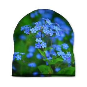 Шапка 3D с принтом Синие цветы в Белгороде, 100% полиэстер | универсальный размер, печать по всей поверхности изделия | Тематика изображения на принте: лепестки | прикольные картинки | цветочки | цветы