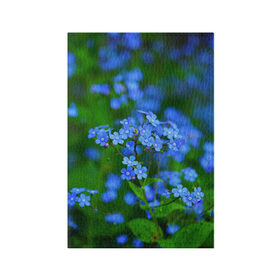 Обложка для паспорта матовая кожа с принтом Синие цветы в Белгороде, натуральная матовая кожа | размер 19,3 х 13,7 см; прозрачные пластиковые крепления | Тематика изображения на принте: лепестки | прикольные картинки | цветочки | цветы