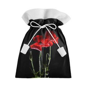 Подарочный 3D мешок с принтом Маки в Белгороде, 100% полиэстер | Размер: 29*39 см | Тематика изображения на принте: background | black | flowers | poppies | poppy | red | wild | красные | мак | маки | полевые | фон | цветы | черный