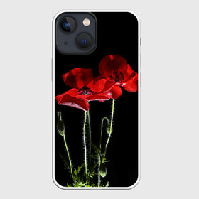 Чехол для iPhone 13 mini с принтом Маки в Белгороде,  |  | background | black | flowers | poppies | poppy | red | wild | красные | мак | маки | полевые | фон | цветы | черный