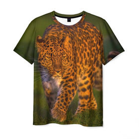 Мужская футболка 3D с принтом Дальневосточный леопард в Белгороде, 100% полиэфир | прямой крой, круглый вырез горловины, длина до линии бедер | 