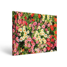 Холст прямоугольный с принтом Весеннее настроение в Белгороде, 100% ПВХ |  | аромат | букет | вазон | великолепие | краски | красота | куст | луг | полевые цветы | полянка | природа | растения | розы | ромашки | тюльпаны | украшение | фауна | цветник | цветок | цветочек | цветы