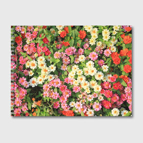 Альбом для рисования с принтом Весеннее настроение в Белгороде, 100% бумага
 | матовая бумага, плотность 200 мг. | аромат | букет | вазон | великолепие | краски | красота | куст | луг | полевые цветы | полянка | природа | растения | розы | ромашки | тюльпаны | украшение | фауна | цветник | цветок | цветочек | цветы