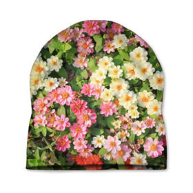 Шапка 3D с принтом Весеннее настроение в Белгороде, 100% полиэстер | универсальный размер, печать по всей поверхности изделия | аромат | букет | вазон | великолепие | краски | красота | куст | луг | полевые цветы | полянка | природа | растения | розы | ромашки | тюльпаны | украшение | фауна | цветник | цветок | цветочек | цветы