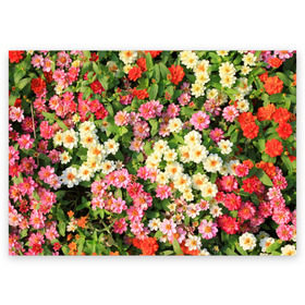 Поздравительная открытка с принтом Весеннее настроение в Белгороде, 100% бумага | плотность бумаги 280 г/м2, матовая, на обратной стороне линовка и место для марки
 | аромат | букет | вазон | великолепие | краски | красота | куст | луг | полевые цветы | полянка | природа | растения | розы | ромашки | тюльпаны | украшение | фауна | цветник | цветок | цветочек | цветы