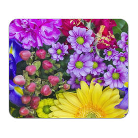 Коврик прямоугольный с принтом Роскошные цветы в Белгороде, натуральный каучук | размер 230 х 185 мм; запечатка лицевой стороны | аромат | астры | букет | вазон | великолепие | гвоздики | гиацинт | гортензия | калла | краски | красота | куст | лилия | орхидея | пион | подсолнух | полевые цветы | природа | растения | розы | ромашки