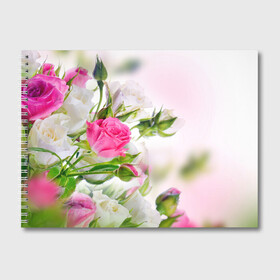 Альбом для рисования с принтом Алые розы в Белгороде, 100% бумага
 | матовая бумага, плотность 200 мг. | аромат | букет | вазон | великолепие | краски | красота | куст | нежность | природа | растения | розы | украшение | фауна | цветник | цветы