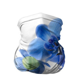 Бандана-труба 3D с принтом Веточка орхидеи в Белгороде, 100% полиэстер, ткань с особыми свойствами — Activecool | плотность 150‒180 г/м2; хорошо тянется, но сохраняет форму | ветка | красота | нежность | орхидея | природа | растение | фауна | цветок | цветы