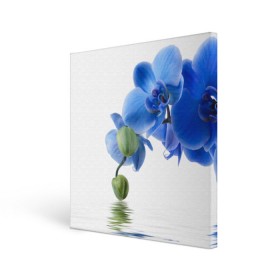 Холст квадратный с принтом Веточка орхидеи в Белгороде, 100% ПВХ |  | ветка | красота | нежность | орхидея | природа | растение | фауна | цветок | цветы