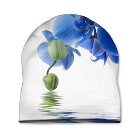 Шапка 3D с принтом Веточка орхидеи в Белгороде, 100% полиэстер | универсальный размер, печать по всей поверхности изделия | ветка | красота | нежность | орхидея | природа | растение | фауна | цветок | цветы