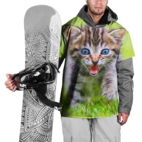 Накидка на куртку 3D с принтом Кися в Белгороде, 100% полиэстер |  | Тематика изображения на принте: домашние | животные | кот | котёнок | кошка | милый