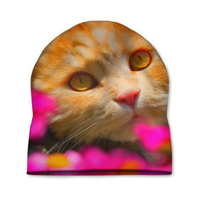 Шапка 3D с принтом Кошечка в Белгороде, 100% полиэстер | универсальный размер, печать по всей поверхности изделия | животные | кот | кошка | милая | рыжий