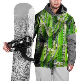 Накидка на куртку 3D с принтом Кактус в Белгороде, 100% полиэстер |  | Тематика изображения на принте: кактус | колючки | прикольные картинки | природа | цветочки | цветы