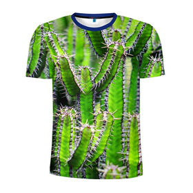 Мужская футболка 3D спортивная с принтом Кактус в Белгороде, 100% полиэстер с улучшенными характеристиками | приталенный силуэт, круглая горловина, широкие плечи, сужается к линии бедра | кактус | колючки | прикольные картинки | природа | цветочки | цветы