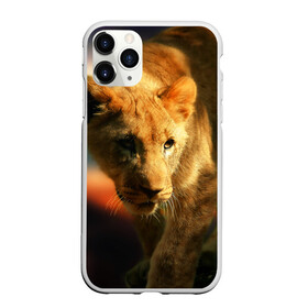 Чехол для iPhone 11 Pro матовый с принтом Львица в Белгороде, Силикон |  | lion | голова животного | дикая кошка | кот | лев | цвет