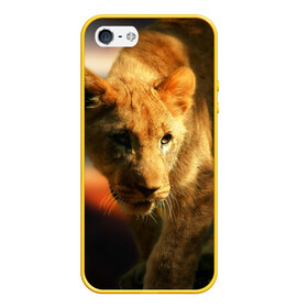 Чехол для iPhone 5/5S матовый с принтом Львица в Белгороде, Силикон | Область печати: задняя сторона чехла, без боковых панелей | lion | голова животного | дикая кошка | кот | лев | цвет