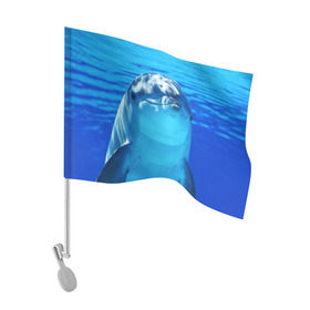 Флаг для автомобиля с принтом Дельфин в Белгороде, 100% полиэстер | Размер: 30*21 см | вода | дельфин | море | отдых | отпуск | подводный мир | туризм