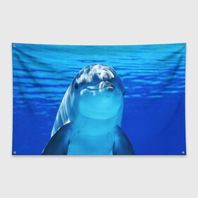 Флаг-баннер с принтом Дельфин в Белгороде, 100% полиэстер | размер 67 х 109 см, плотность ткани — 95 г/м2; по краям флага есть четыре люверса для крепления | вода | дельфин | море | отдых | отпуск | подводный мир | туризм