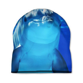 Шапка 3D с принтом Дельфин в Белгороде, 100% полиэстер | универсальный размер, печать по всей поверхности изделия | вода | дельфин | море | отдых | отпуск | подводный мир | туризм