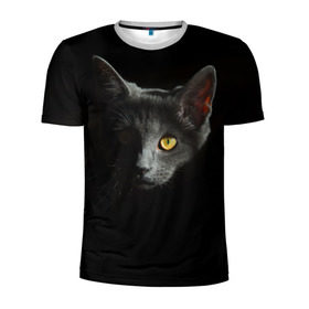 Мужская футболка 3D спортивная с принтом Кошачий взгляд в Белгороде, 100% полиэстер с улучшенными характеристиками | приталенный силуэт, круглая горловина, широкие плечи, сужается к линии бедра | глаз | киска | кот | котёнок | кошка | прикольные картинки | темнота | тьма