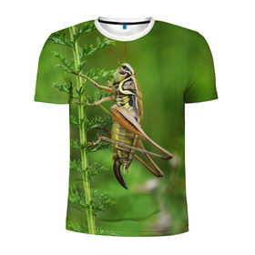 Мужская футболка 3D спортивная с принтом Кузнечик в Белгороде, 100% полиэстер с улучшенными характеристиками | приталенный силуэт, круглая горловина, широкие плечи, сужается к линии бедра | насекомые. кузнечик | природа | стебель