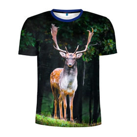 Мужская футболка 3D спортивная с принтом Благородный олень в Белгороде, 100% полиэстер с улучшенными характеристиками | приталенный силуэт, круглая горловина, широкие плечи, сужается к линии бедра | деревья | лес | олень | природа | рога