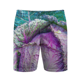 Мужские шорты 3D спортивные с принтом Капуста в Белгороде,  |  | Тематика изображения на принте: дача | еда | зелень | капуста | овощи | огород | растения | цветная капуста