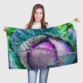 Флаг 3D с принтом Капуста в Белгороде, 100% полиэстер | плотность ткани — 95 г/м2, размер — 67 х 109 см. Принт наносится с одной стороны | дача | еда | зелень | капуста | овощи | огород | растения | цветная капуста