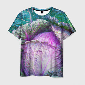Мужская футболка 3D с принтом Капуста в Белгороде, 100% полиэфир | прямой крой, круглый вырез горловины, длина до линии бедер | дача | еда | зелень | капуста | овощи | огород | растения | цветная капуста