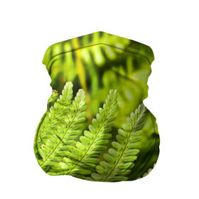 Бандана-труба 3D с принтом Папоротник в Белгороде, 100% полиэстер, ткань с особыми свойствами — Activecool | плотность 150‒180 г/м2; хорошо тянется, но сохраняет форму | ботаника | зелень | листья | папоротник | природа | растения | цветок