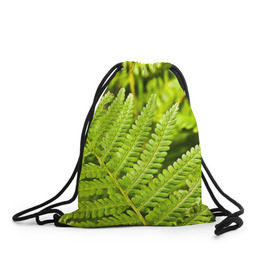 Рюкзак-мешок 3D с принтом Папоротник в Белгороде, 100% полиэстер | плотность ткани — 200 г/м2, размер — 35 х 45 см; лямки — толстые шнурки, застежка на шнуровке, без карманов и подкладки | ботаника | зелень | листья | папоротник | природа | растения | цветок